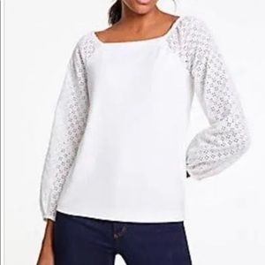 ANN TAYLOR White Eyelet Sleeve Ponte Top